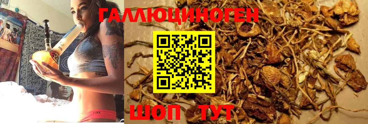 Псилоцибиновые грибы мухоморы  Галлюциногенные грибы Psilocybine cubensis  Вход с VPN  Красный Сулин 