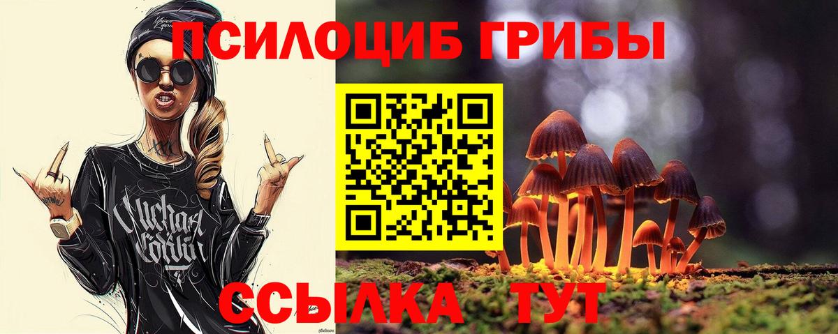 Псилоцибиновые грибы Psilocybine cubensis Красный Сулин