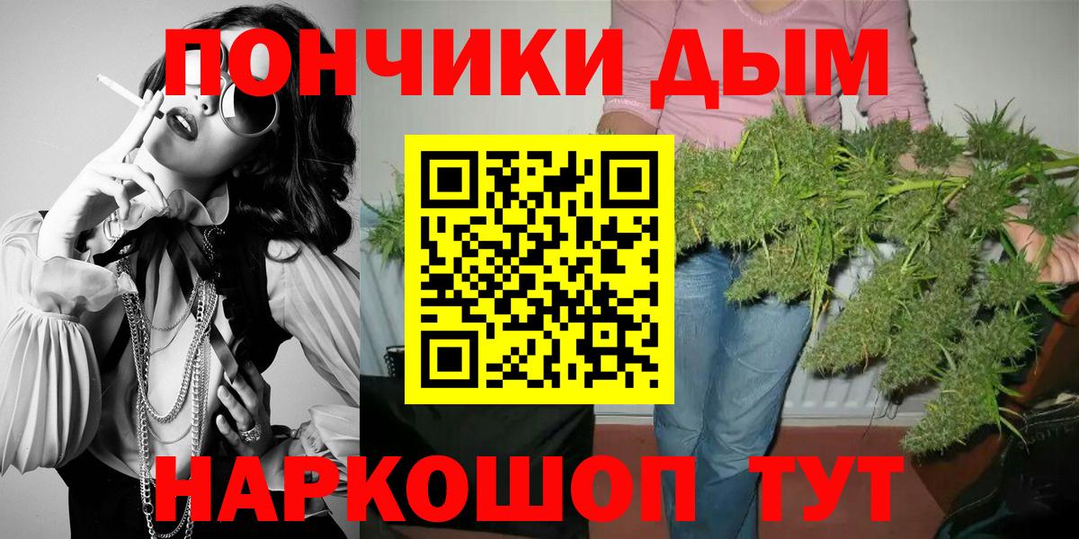 Красный Сулин  Бошки Шишки планчик  Каннабис гибрид  Марихуана план  Марихуана Amnesia  Вход с VPN 